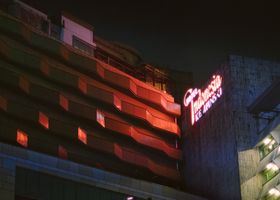 After Dark: Festival Nightlife